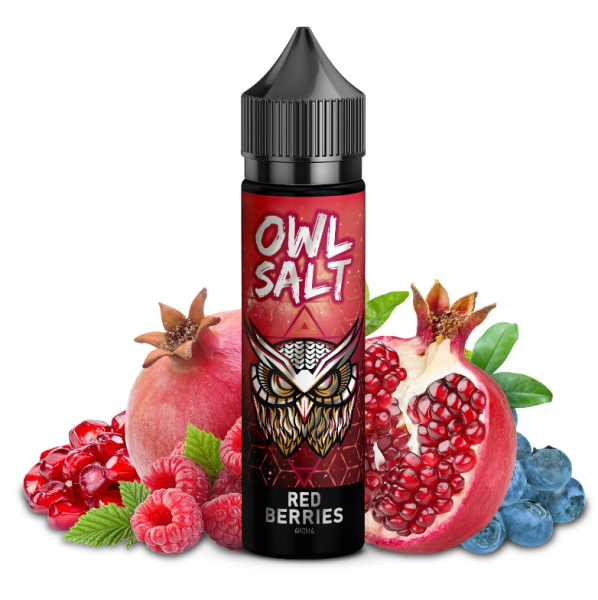 OWL Salt Longfill Red Berries Aroma 10ml Longfill (Steuer)